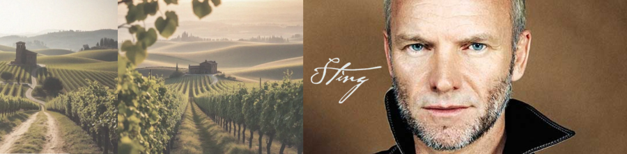 Sting - legenda muzyki. Poznaj winnicę Il Palagio w Toskanii.