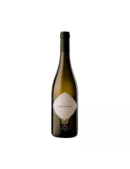 Cantina Lavis Pinot Grigo 0,75l - Wino białe wytrawne