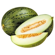 Melon Zielony Piel De Sapo