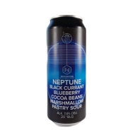 Nepomucen Neptune Piwo Black Currant Blueberry Cocoa Beans Marshmallow Pastry Sour 0,5l puszka - Piwo kraftowe