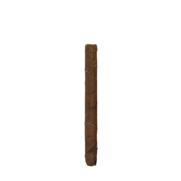 L.f.d. Little Cigars Daiquiri Tins Maduro M-10