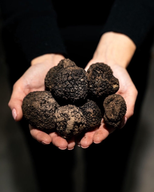 Czarna Trufla Prosto z Włoch