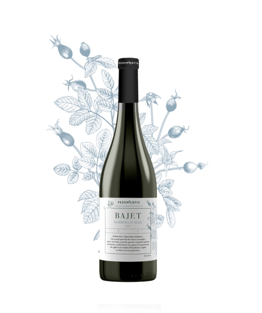 Pedemontis BAJET Barbera d´Alba D.O.C. 13,5% włoskie wino czerwone 0,75 L