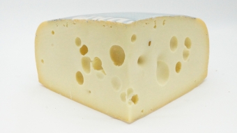 Jansen Ser Maasdam Holenderski Jansen